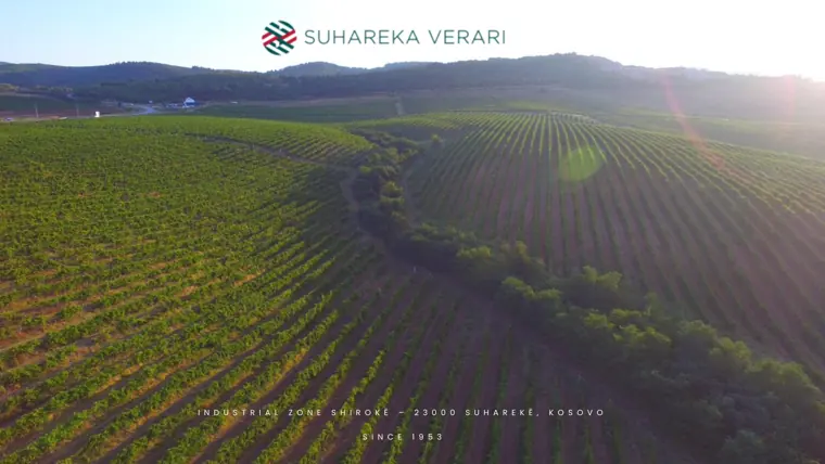 Cover of the Theranda Wine / Suhareka Verari brand presentation